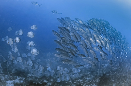 49a2fa182d25387bbdceb5533134199b_3 윤상철 - PSX_20260214_113509k.jpg